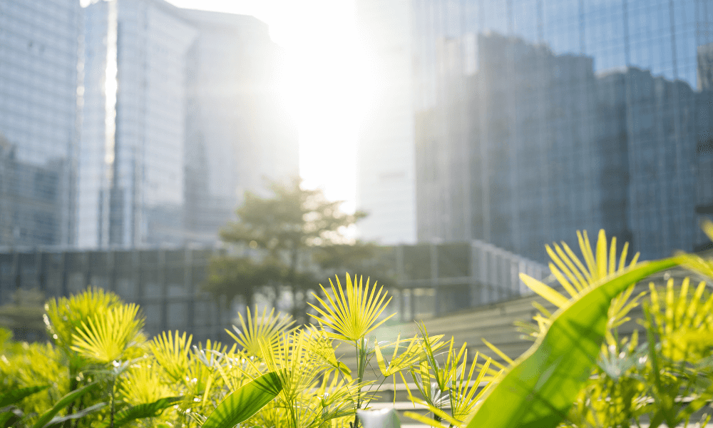 Embracing Sustainability